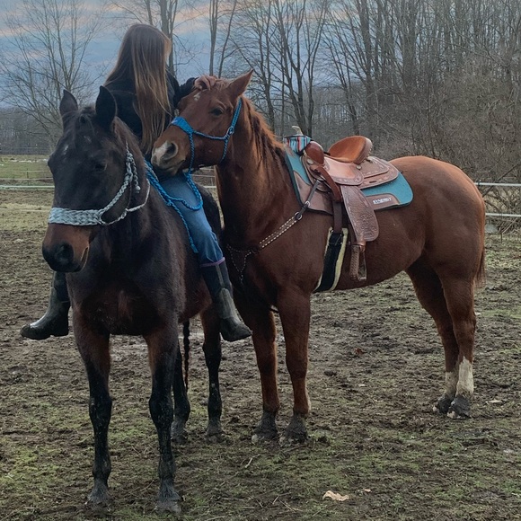 Meet your Posher, Addison - Picture 1 of 1